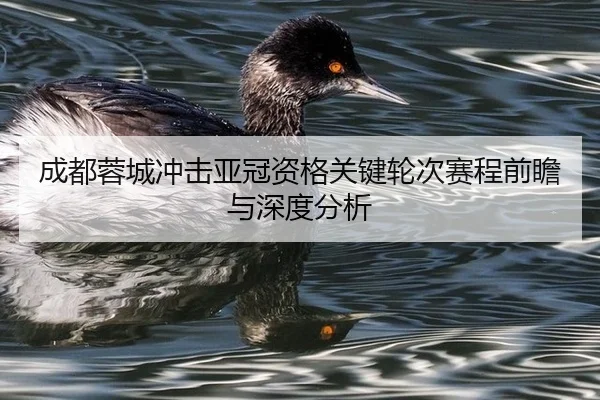 cheng-du-rong-cheng-chong-ji-ya-guan-zi-ge-guan-jian-lun-ci-sai-cheng-qian-zhan-yu-shen-du-fen-xi-2-522.jpg